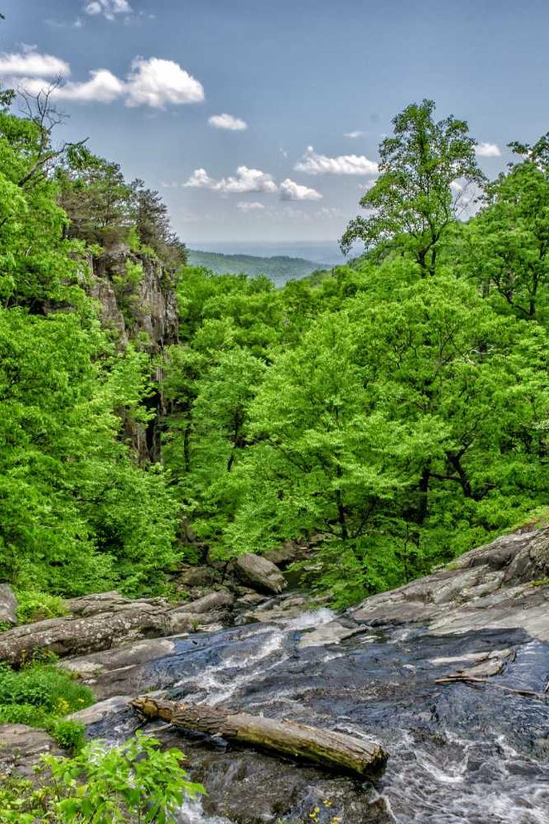 爱液nba在线观看免费最新更换线路官方版下载-爱液nba在线观看免费最新更换线路正版v1.3.5-视频动漫网站入口大全在线免费页面3