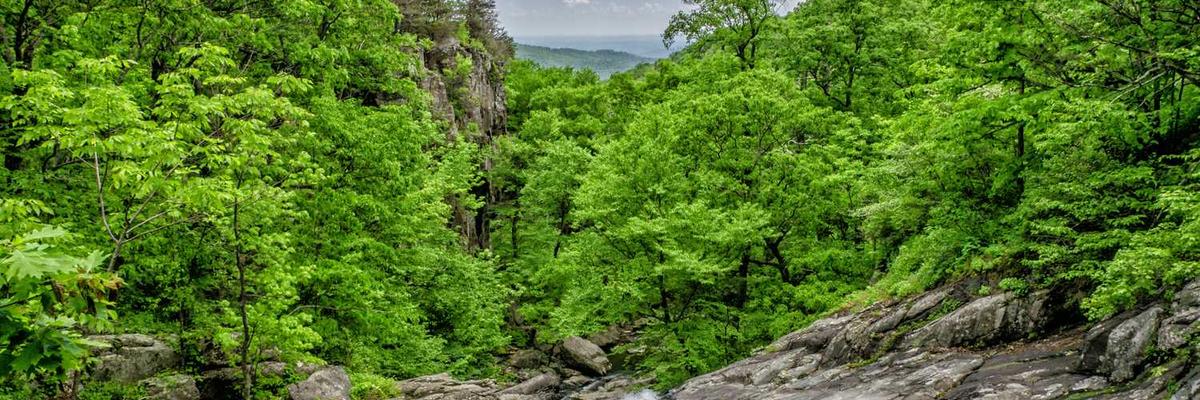 热门爱液nba在线观看免费最新更换线路官方版下载-爱液nba在线观看免费最新更换线路正版v1.3.5-视频动漫网站入口大全在线免费推荐